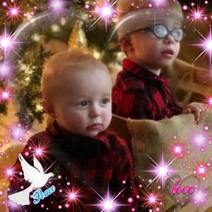 Meet your Posher, Sandy